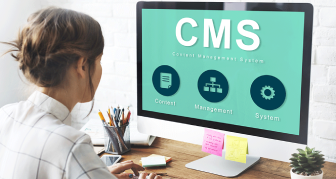 Content Management Systems (CMS)