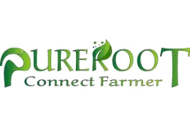 Pureroot-Digital marketing client