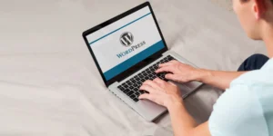 wordpress development company in delhi